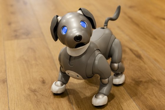 ソナーレ目黒不動前