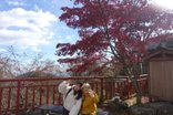 想い出の御嶽山へ。二人三脚で叶えた「もう一度」の登山