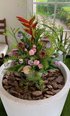 玄関先の花