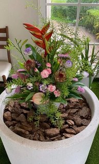 玄関先の花