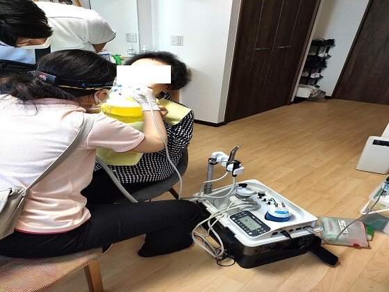 かえでシニアアルヴァンタウン(小花)