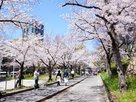 サンフォーリーフタウン桜ノ宮サンミットコート