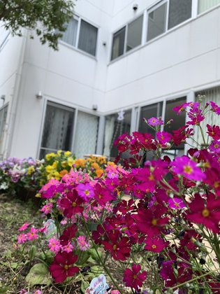 レガロアコンフォート京都伏見