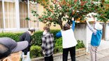 敷地内でさくらんぼ狩り