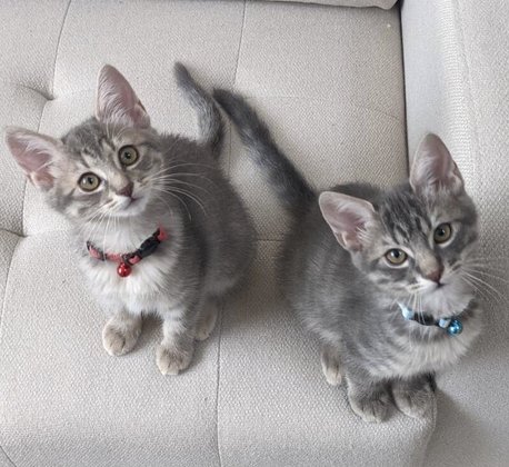 ウェルライフヴィラ富沢西