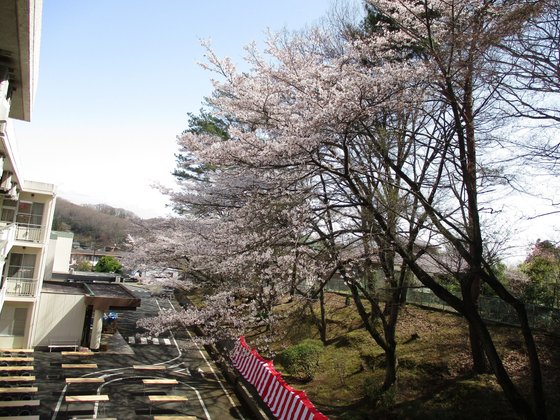 社会福祉法人八王子心成会 介護付き有料老人ホーム登芙喜心成苑