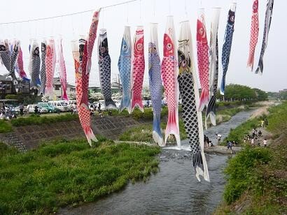 南浅川の青空を『約1000匹の鯉のぼり』たちが泳ぎます｜社会福祉法人