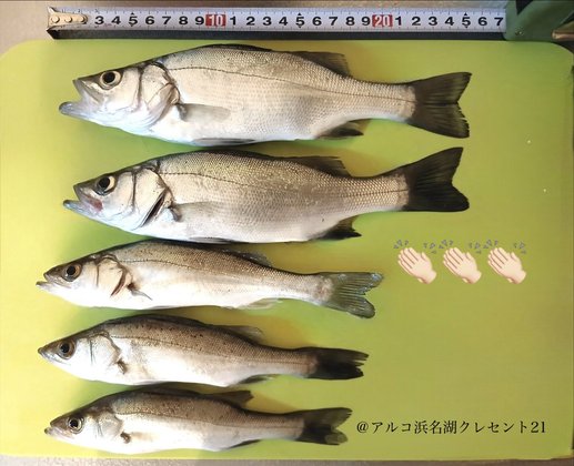 アルコ浜名湖クレセント21
