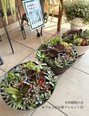 多肉植物の会