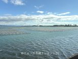 今日のアルコ浜名湖クレセント21
