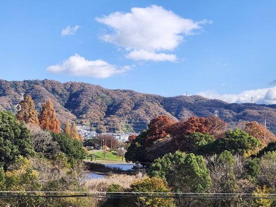 レガート深北緑地