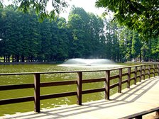 別所沼公園