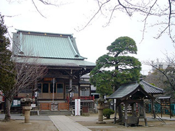 ブランシエール市川