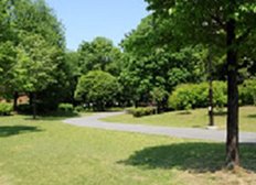 昭和記念公園