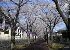花と緑の散歩道