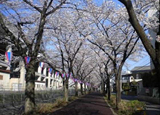 ブランシエールケア武蔵浦和