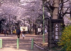 大宮公園