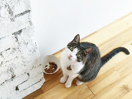 ブランシエール王子