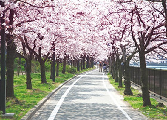 ブランシエールケア都島