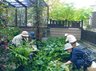 メリィハウス八千代