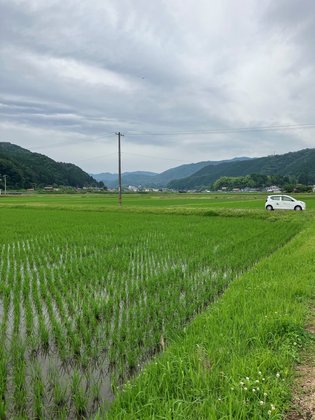 メリィハウス八千代