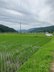 メリィハウス八千代