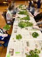 茶摘み