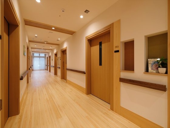 ぽれぽれ白橿コンフォート