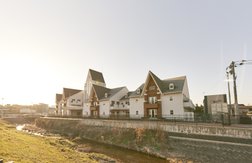 ここは人気の花畑エリア