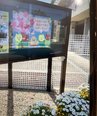 掲示板更新