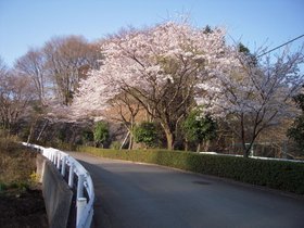 医療法人社団松友会 上相原病院