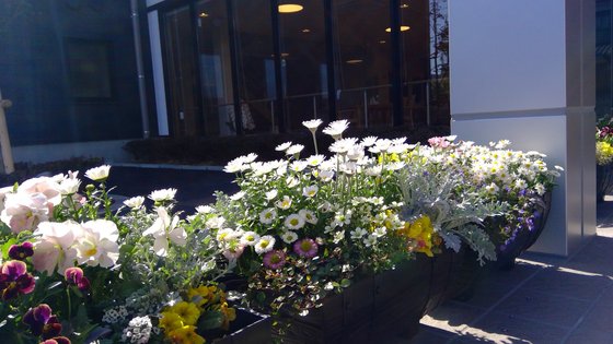 医療法人伯鳳会 若草の家