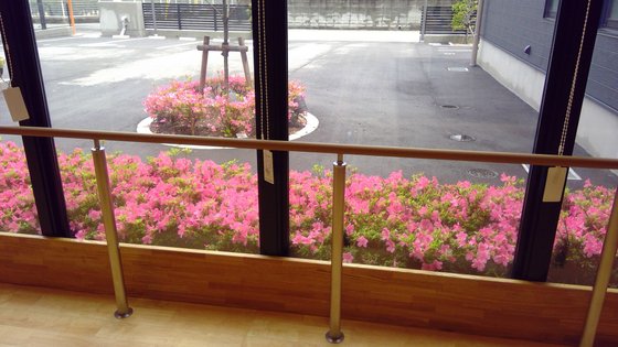 医療法人伯鳳会 若草の家