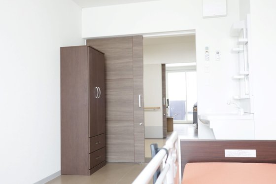 カルナシア菊水