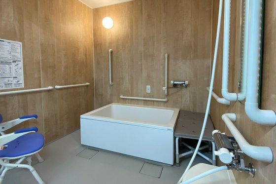 カルナシア菊水