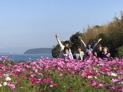 コスモスを観に行きました!