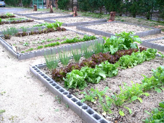 ラ・ファミーユ朝倉