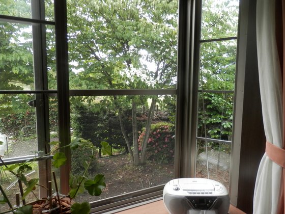 ナーシング・ケアホーム 風凛館