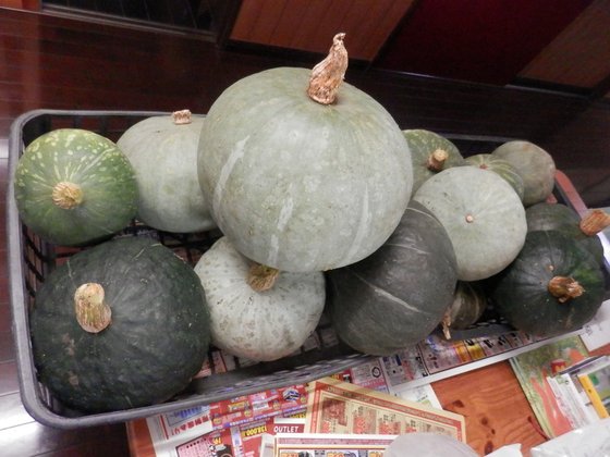 ナーシング・ケアホーム 風凛館