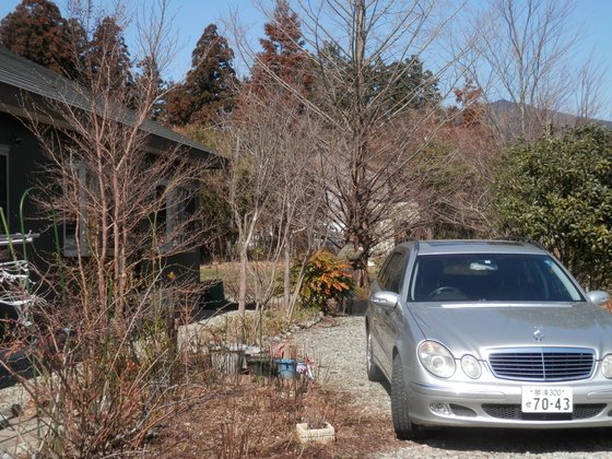 ナーシング・ケアホーム 風凛館