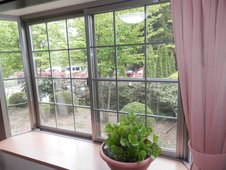 全室緑いっぱい。