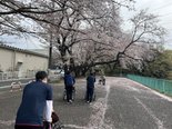 お花見に行ってきました!