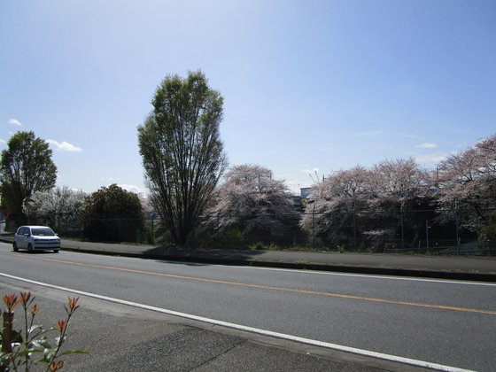 アンジェス相模原