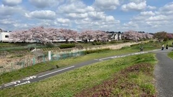 八王子高齢者賃貸マンション いちょう家族