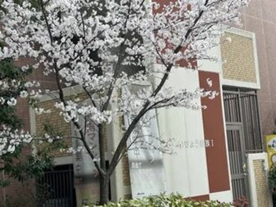 八王子高齢者賃貸マンション いちょう家族