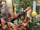 七夕飾り