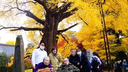 【イベント・レクリエーション】紅葉狩り(浄真寺)