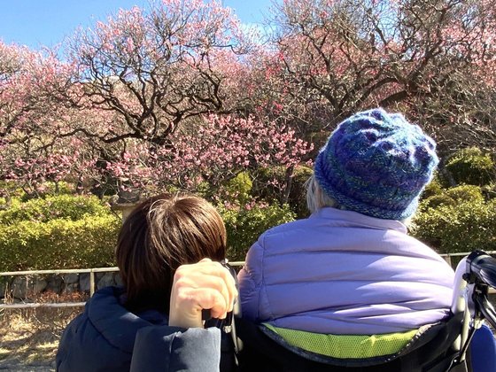 東急ウェリナケア旗の台