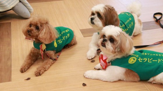 東急ウェリナケア旗の台