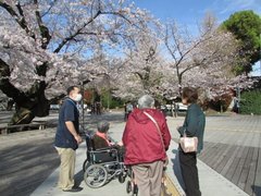 緊急企画!“お花見”